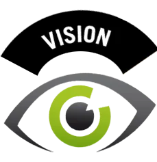 vision